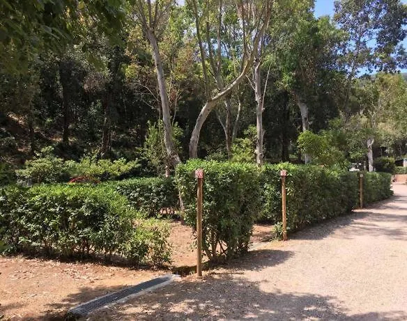 Elbadoc Camping Village Cavo 0*,