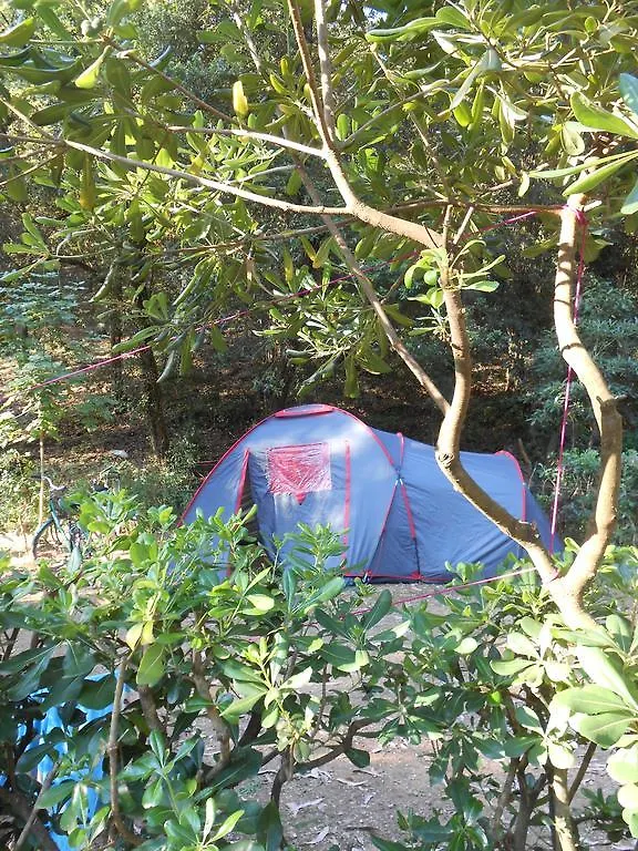 Elbadoc Camping Village Cavo 0*,