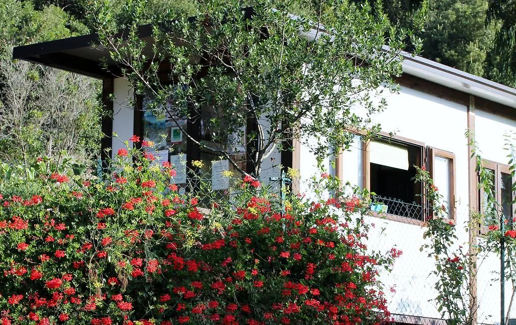Elbadoc Camping Village Cavo Campsite
